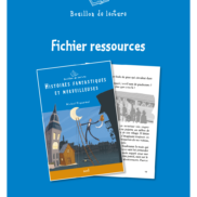 Histoires fantastiques et merveilleuse 30 romans + fichier