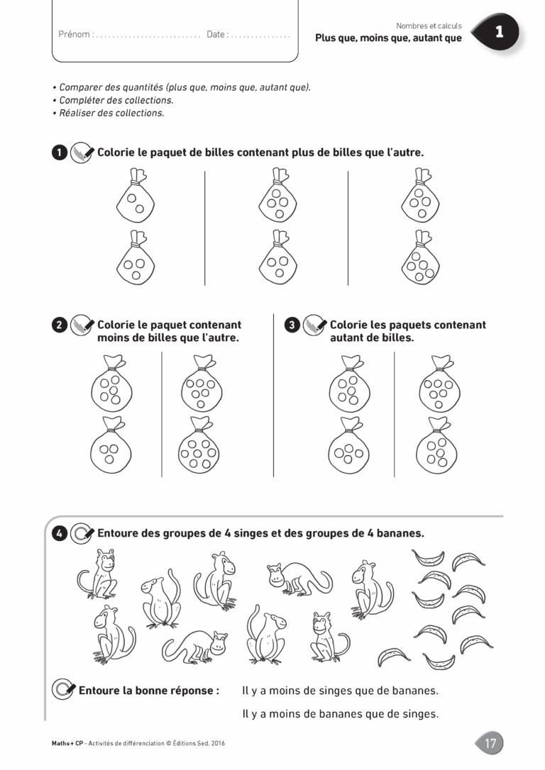 Aperçu : MATHS + – Classeur de différenciation – CP – Anciens programmes