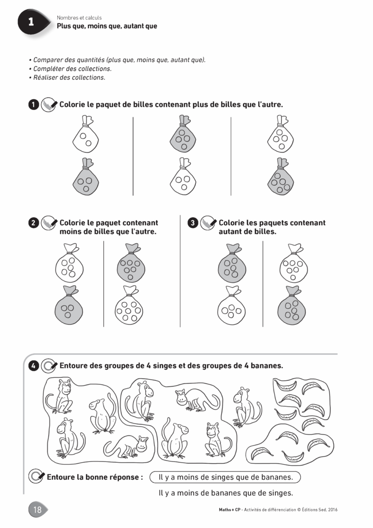Aperçu : MATHS + – Classeur de différenciation – CP – Anciens programmes