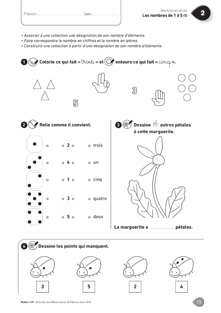 Aperçu : MATHS + – Classeur de différenciation – CP – Anciens programmes