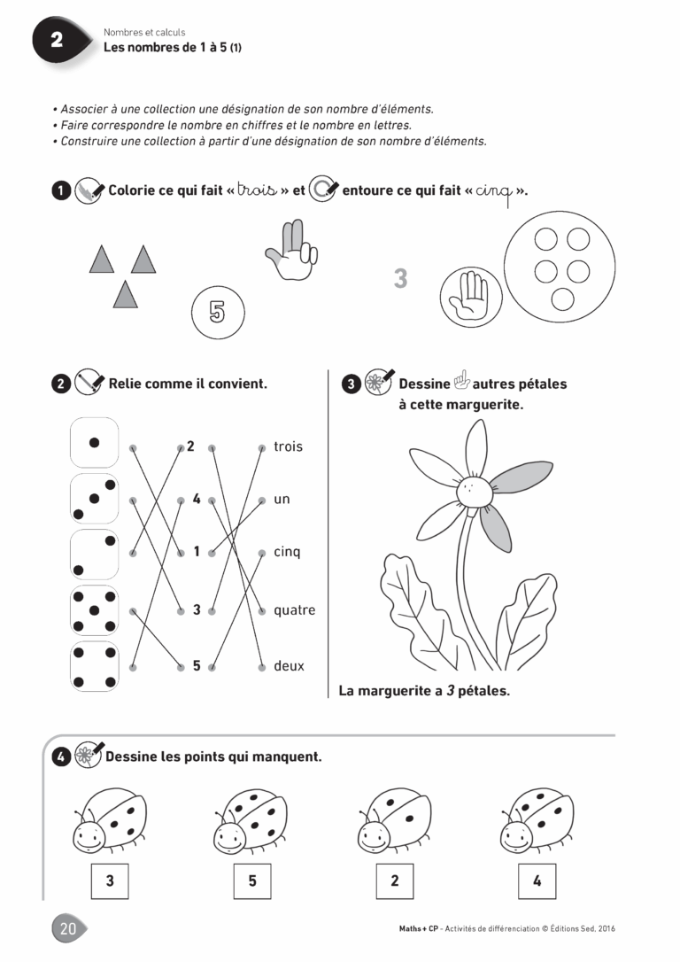 Aperçu : MATHS + – Classeur de différenciation – CP – Anciens programmes