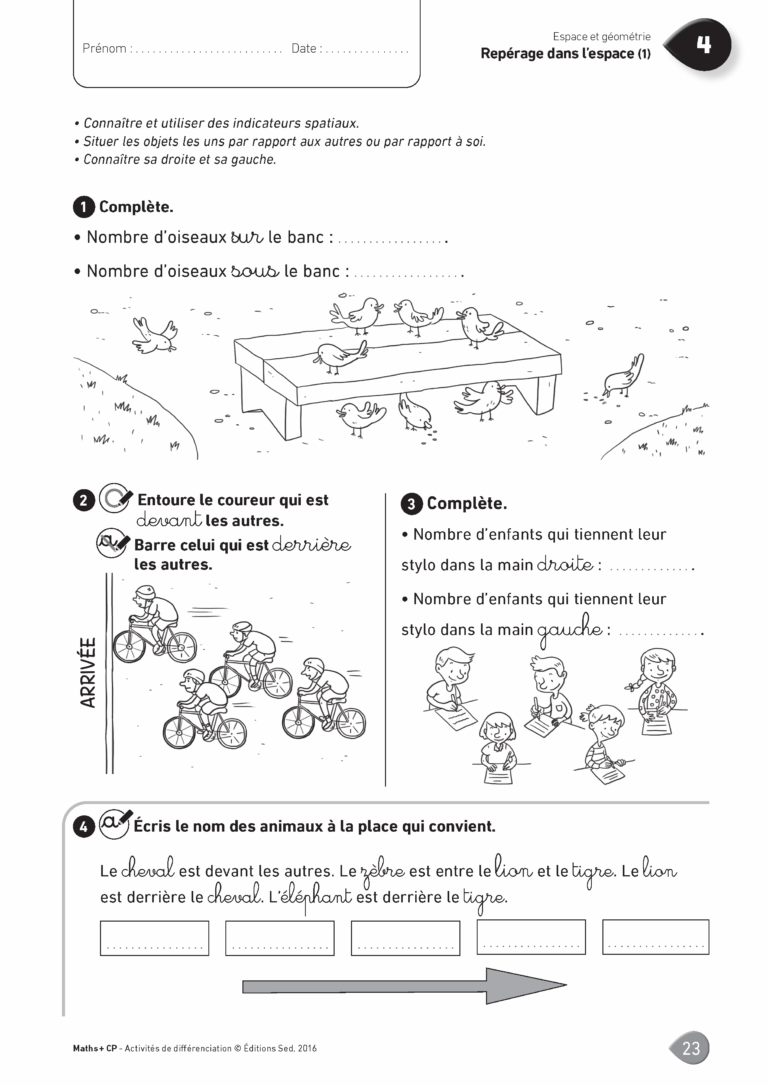 Aperçu : MATHS + – Classeur de différenciation – CP – Anciens programmes