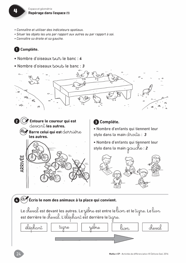 Aperçu : MATHS + – Classeur de différenciation – CP – Anciens programmes