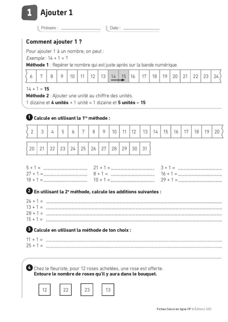 Aperçu : Calcul mental – Calcul à la ligne – CP