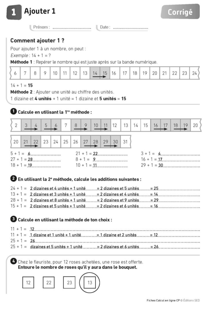 Aperçu : Calcul mental – Calcul à la ligne – CP