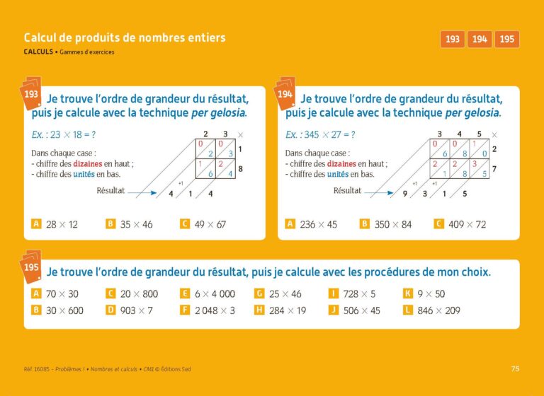 Aperçu : PROBLEMES ! – Nombres et calculs – CM1