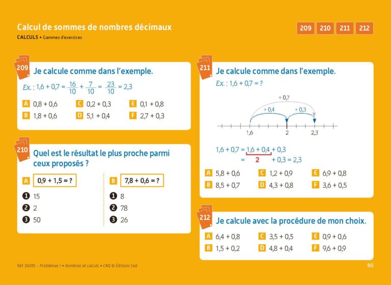 Aperçu : PROBLEMES ! – Nombres et calculs – CM1