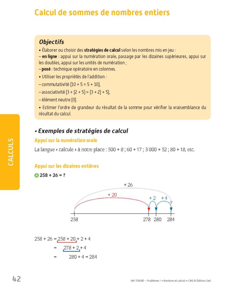Aperçu : PROBLEMES ! – Nombres et calculs – CM1