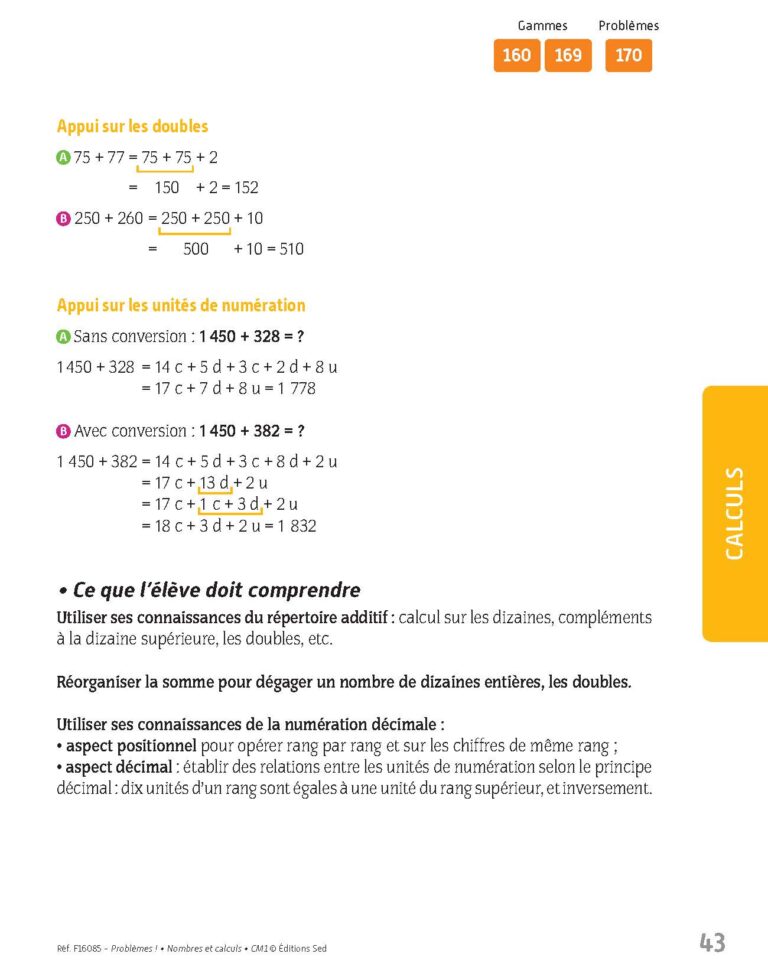 Aperçu : PROBLEMES ! – Nombres et calculs – CM1