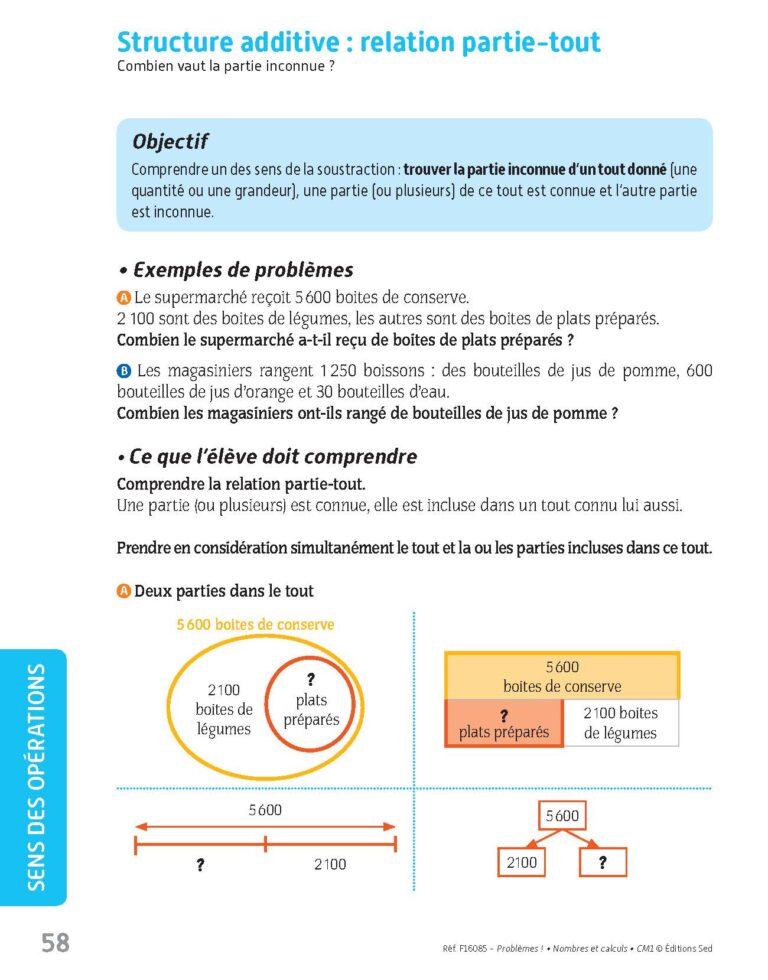 Aperçu : PROBLEMES ! – Nombres et calculs – CM1