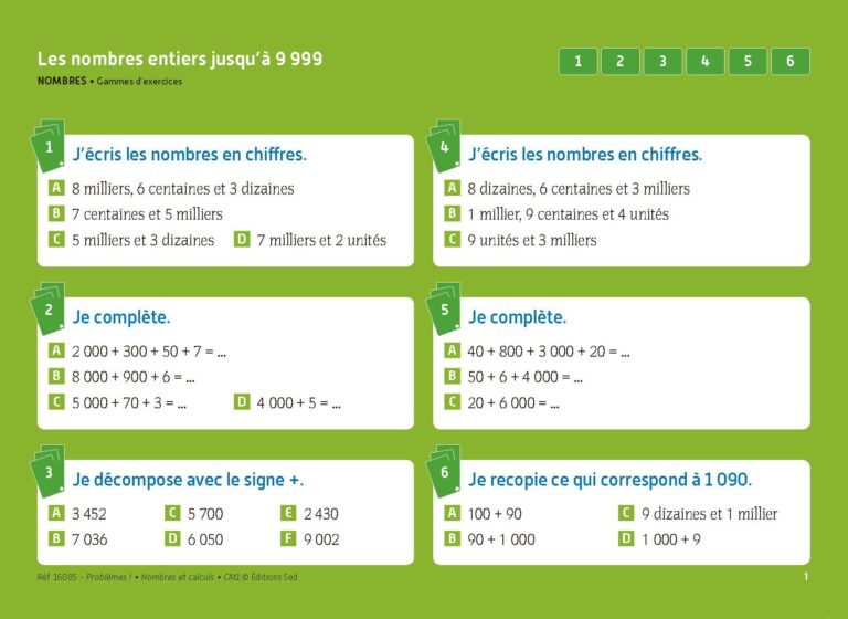 Aperçu : PROBLEMES ! – Nombres et calculs – CM1