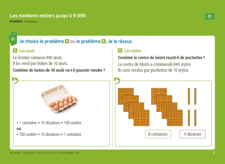 Aperçu : PROBLEMES ! – Nombres et calculs – CM1