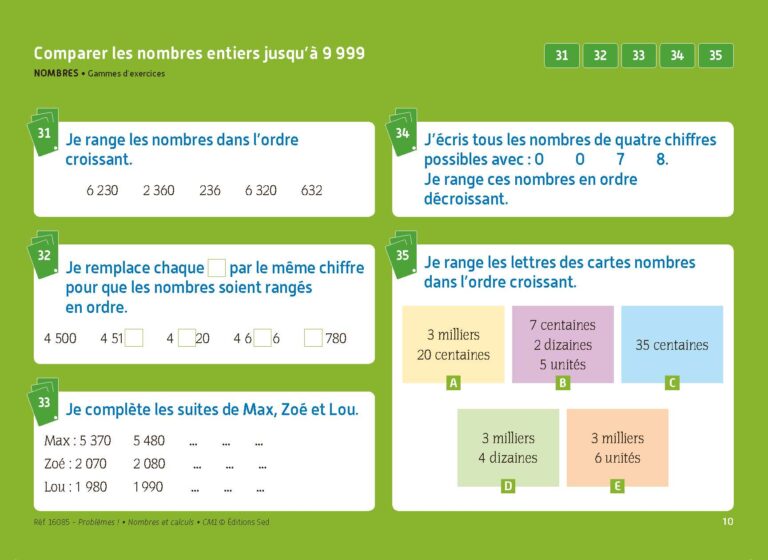 Aperçu : PROBLEMES ! – Nombres et calculs – CM1