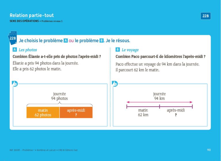 Aperçu : PROBLEMES ! – Nombres et calculs – CM1