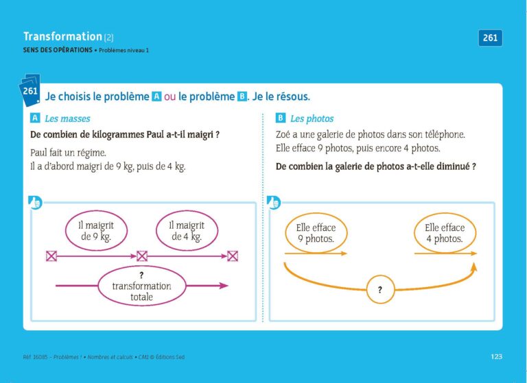 Aperçu : PROBLEMES ! – Nombres et calculs – CM1