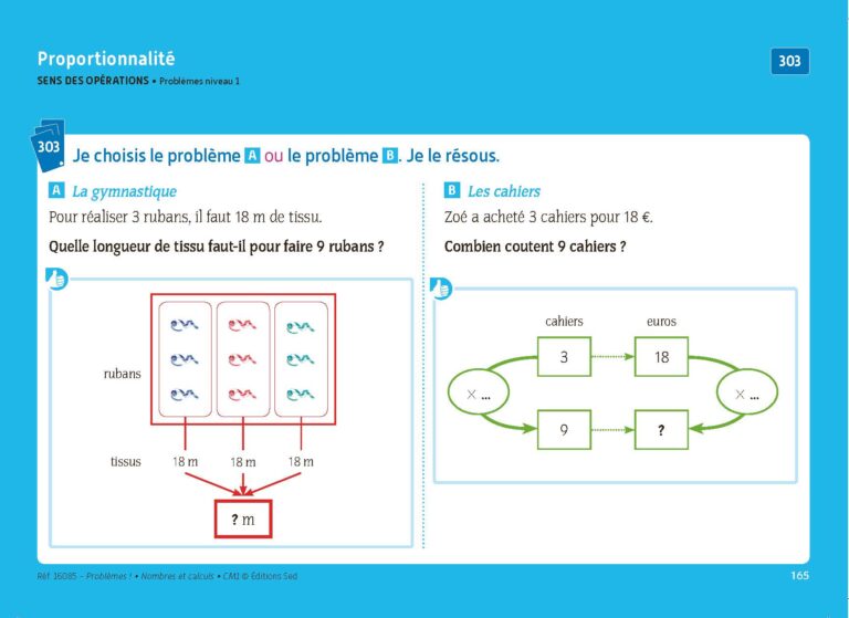 Aperçu : PROBLEMES ! – Nombres et calculs – CM1