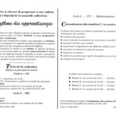 51310 - Page 2 - Extrait Veritech