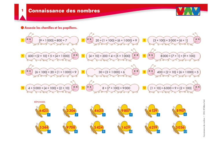 Aperçu : Connaissance des nombres – CM2
