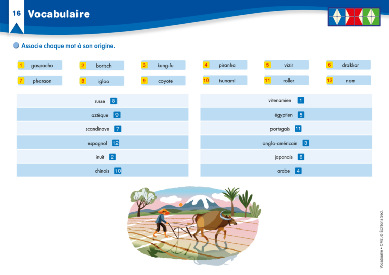 Aperçu : Vocabulaire – CM2