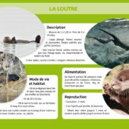 A vous la parole - CE1 - Posters_Page_4