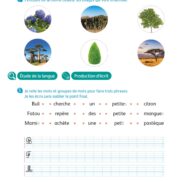 Buli - Cahier de l'élève 2 - CP - 2016_Page_09
