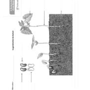 N16240 - A vos plume - CE1_Page_07