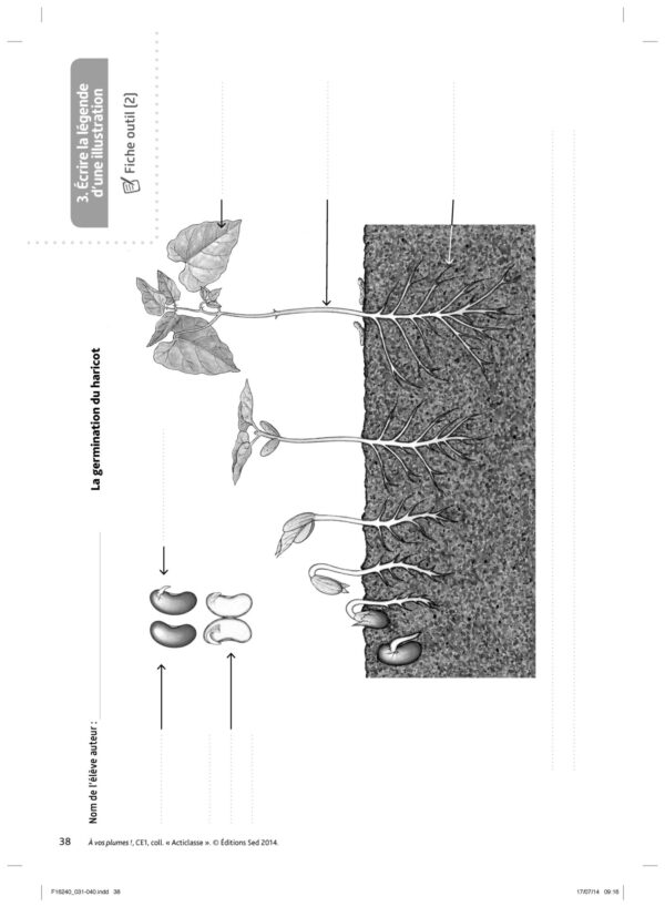 N16240 - A vos plume - CE1_Page_07