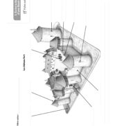 N16240 - A vos plume - CE1_Page_08