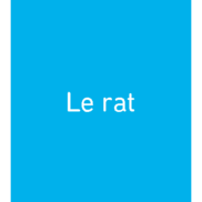 Pages de 52505CA1 - Substituo CE.pdf_Page_6
