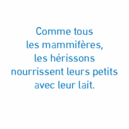 Pages de 52505CA4 - Lexico CE.pdf_Page_4