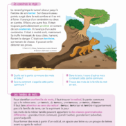 Pages de A-LA-LIGNE- CM1-INTBAT-2023.pdf_Page_13