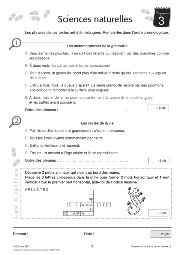Pages de F2525_La Chasse aux indices (cycle 3 niveau 2).pdf_Page_09