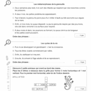 Pages de F2525_La Chasse aux indices (cycle 3 niveau 2).pdf_Page_09