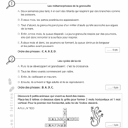 Pages de F2525_La Chasse aux indices (cycle 3 niveau 2).pdf_Page_10
