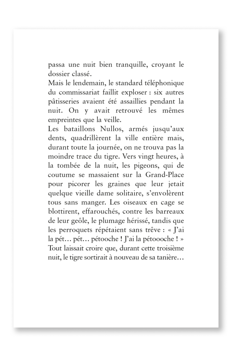 Aperçu : PL – La puce, détective rusé – 18 romans + fichier