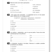 14055 - Le Magicien d'oz - FR - Page 5