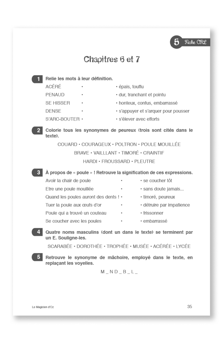 Aperçu : PL – Le magicien d'Oz – 30 romans + fichier