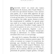 14055 - Le Magicien d'oz - Page 3