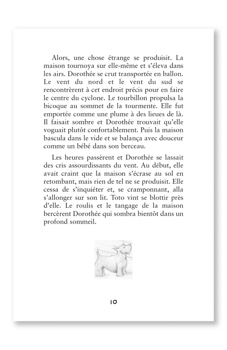 Aperçu : PL – Le magicien d'Oz – 30 romans + fichier