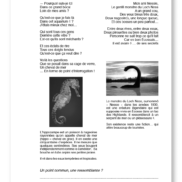 14055 - Les crayons du soleil - FR - Page 3