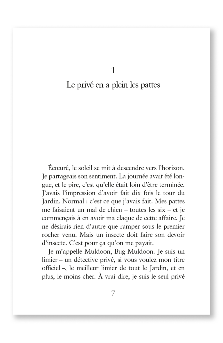 Aperçu : PL – Tirez pas sur le scarabée – 12 romans + fichier