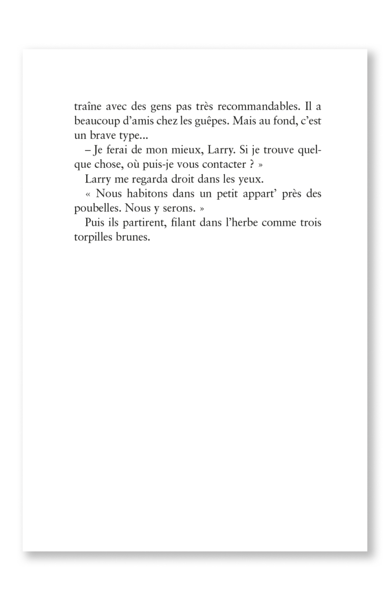 Aperçu : PL – Tirez pas sur le scarabée – 12 romans + fichier