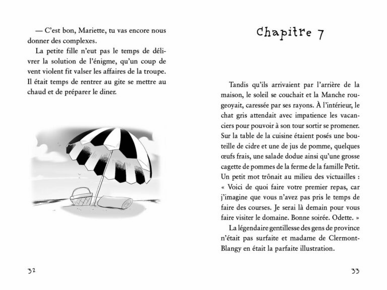 Aperçu : BDL – Tartes aux pommes et vieilles dentelles – 6 romans