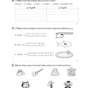 44355-Classeur de différenciation - CE1_Page_08