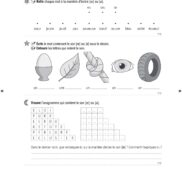 44455 - Classeur de différenciation - CE2_Page_08