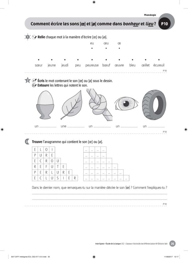 44455 - Classeur de différenciation - CE2_Page_08