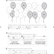 44455 - Classeur de différenciation - CE2_Page_09