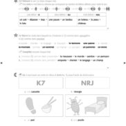 44455 - Classeur de différenciation - CE2_Page_11