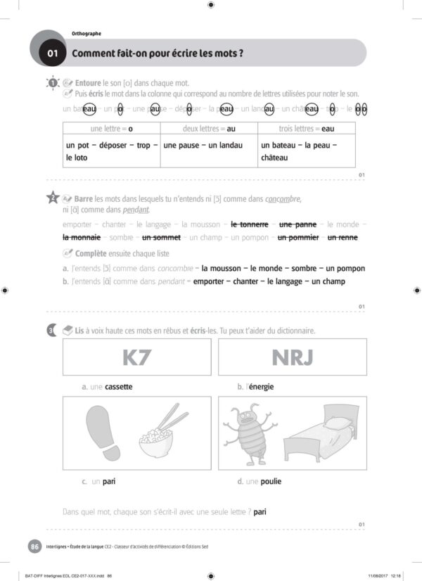 44455 - Classeur de différenciation - CE2_Page_11