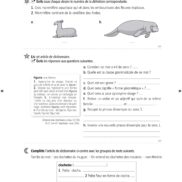 44455 - Classeur de différenciation - CE2_Page_12